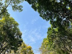 -深圳国际园林花卉博览园