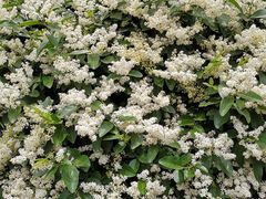 -济南富力凯悦酒店