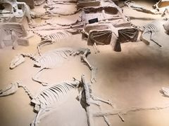 -洛阳周王城天子驾六博物馆