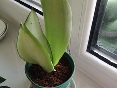 -三旗百汇商品城