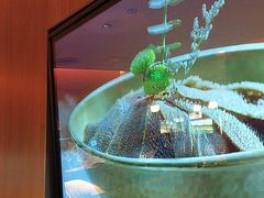 -巴奴毛肚火锅(京西大悦城店)