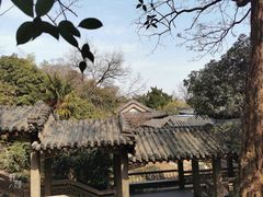 -南京古林公园