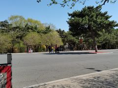 -北陵公园