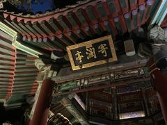 -颐和园