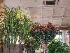 -春暖花开(西溪店)