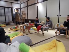 -逗柴咖啡屋·狗咖猫咖宠物桌游