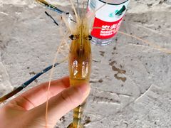 -会江钓鱼钓虾烧烤场