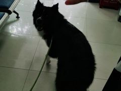 -申普宠物医院·眼科·心内科·影像科(普陀分院)