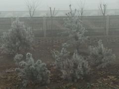 -国御温泉度假小镇