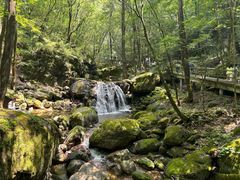 -牛背梁国家森林公园