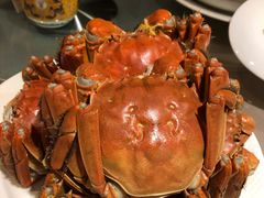 -王宝和酒家(黄浦店)