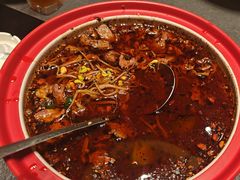 -味到1981日照海鲜·渔饺子