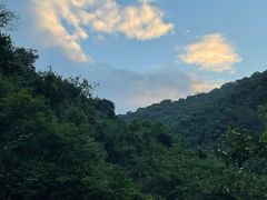 -马峦山郊野公园