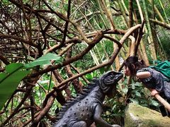 -海南白石岭旅游区