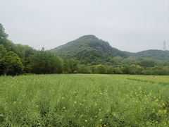 -八卦田遗址公园