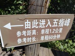 -白草畔自然风景区