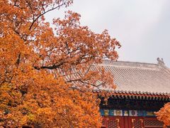 -香山公园