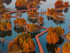 -贡湖湾湿地公园