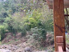 -广州白江湖森林公园