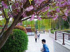 -西安汉城湖景区