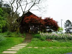 -保利石象湖景区