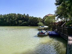 -广州白江湖森林公园