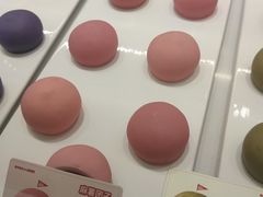 -西树泡芙(蓝色港湾店)