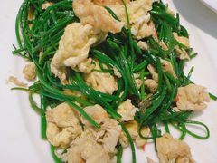 -新疆兵团食府清真(马连道店)