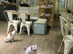 -小时光咖啡馆(开森度假森林店)