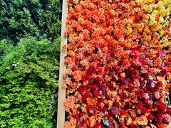 -LES ELITES 英集荟(南京西路店)