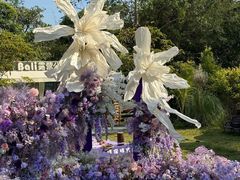 -芭厘农庄老字号·清远鸡