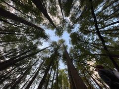 -共青国家森林公园-售票处