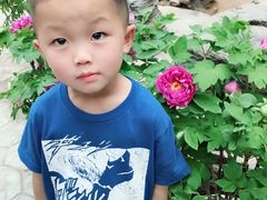 -曹州牡丹园