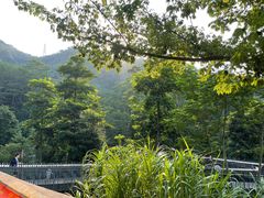 -阳台山森林公园