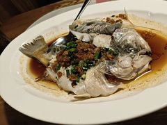 -新白鹿餐厅(龙游路总店·杭帮菜名店)