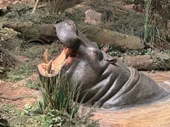 -浙江自然博物院(杭州馆)
