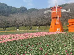-苏州上方山国家森林公园