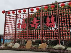 -合肥滨湖国家森林公园