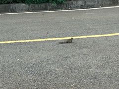 -昆明植物园