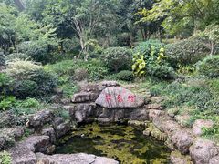 -杭州雅谷泉山庄酒店-餐厅