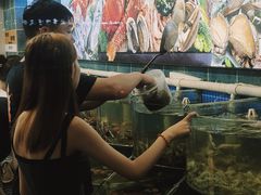 -老虎石海景假日酒店