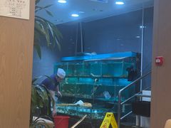 -顺德佬华侨城店·商务宴请·团建