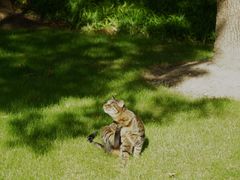 -徐家汇源景区-衡山公园