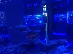 -上和臻品中国菜(花园街店)