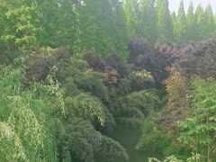 -洛阳市隋唐城遗址植物园