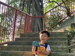 -小南山公园