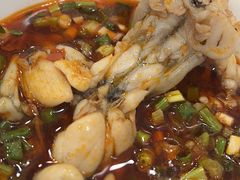 -老表牌·蛙蛙鸡冷锅鱼(成都东站店)