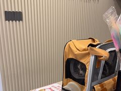 -宠物星动物医院·眼科·异宠·猫科(江南大道总院)