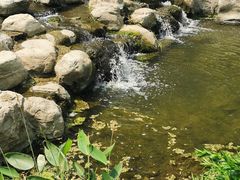 -白水寺森林公园