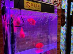 -永兴餐厅(复兴中路店)